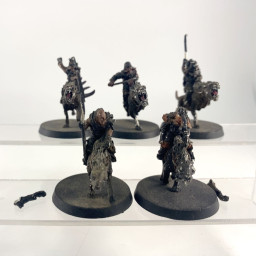 Warg riders incomplet