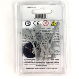 Njal Stormcaller - New