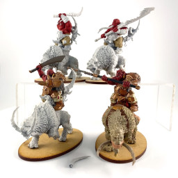 Mournfang Pack incomplet