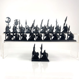 Night Goblin Lancers