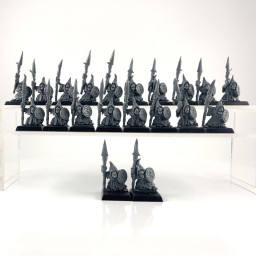 Night Goblin Lancers