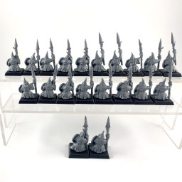 Night Goblin Lancers