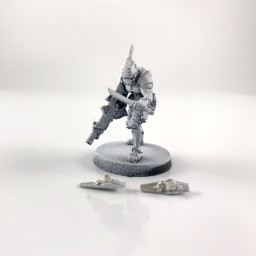 Panoceania Akalis Sikh...