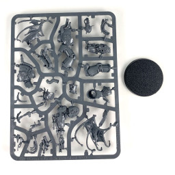 Seigneur de la virulence