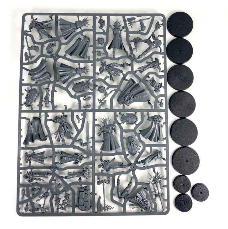 Skaventide : Knight-Questor+ Lord-Terminos + x3 Reclusians + x3 Memorian skaventide