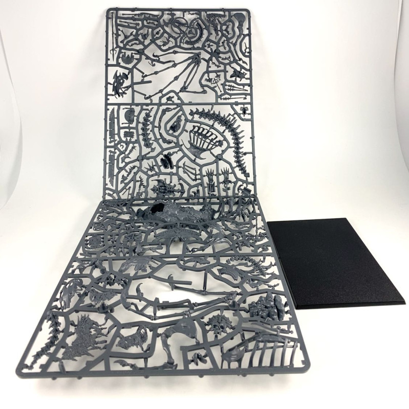 Tomb King/Liche Priest on Necrolith Bone Dragon