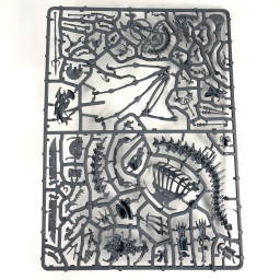 Roi des Tombes/Prêtre Liche sur Dragon d'Os Nécrolithe