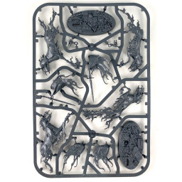 Écumeurs Affrelames