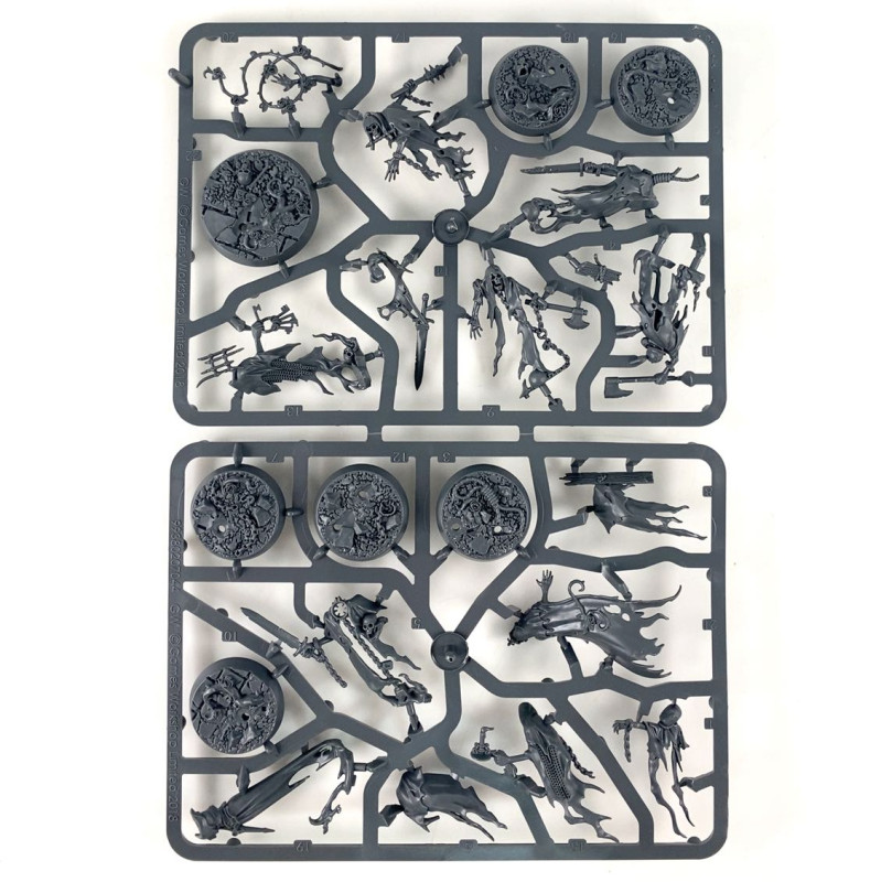 Thorns of the Briar Queen