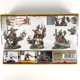 Chevaliers de Morbheg