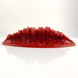 Sorts persistants génériques