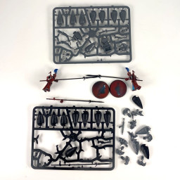 Vanari Auralan Wardens