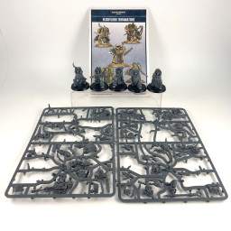 Blightlord Terminators