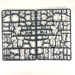 Dark elves: Naggaroth Nightmares