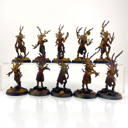 Sylvaneth Dryads
