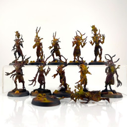 Sylvaneth Dryads