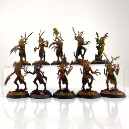 Sylvaneth Dryads