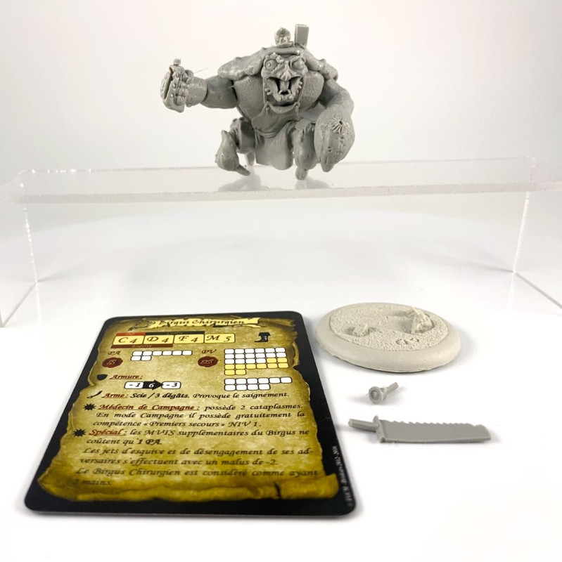 bannis - Birgus Chirurgien - Non monté non peint