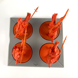 Chevaliers De Castral Roc