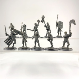 SPQR: Gaul Skyclad Warriors