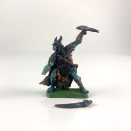 M309 Orc warband leader