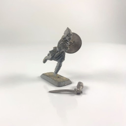 M263 Rohir foot-warrior...