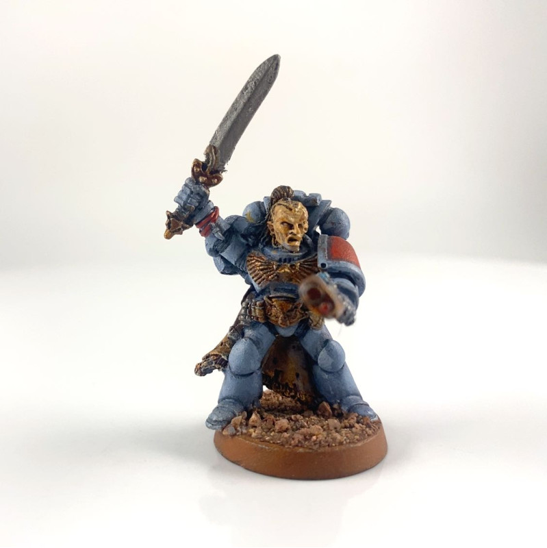 Grey hunter sergeant