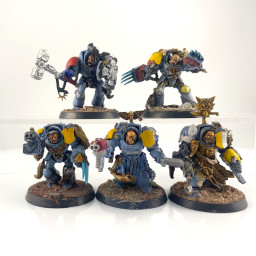 Wolf Guard Terminators...