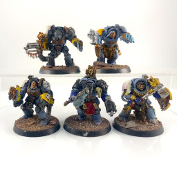 Terminators Gardes Loups Firstborn