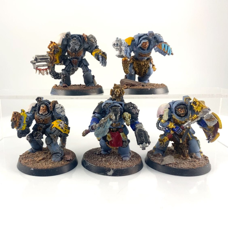 Wolf Guard Terminators Firstborn