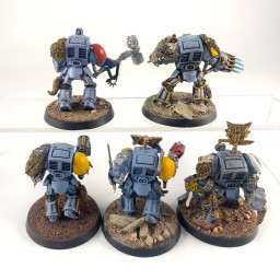 Terminators Gardes Loups Firstborn