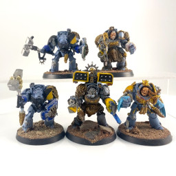 Wolf Guard Terminators...
