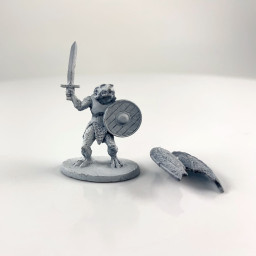 Dongeons et Dragons Draconien