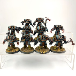 Cataphractii terminator squad