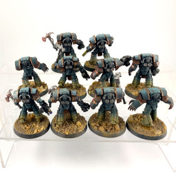 Escouade Terminators Cataphractii