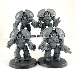 Saturnine Terminators