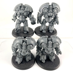 Saturnine Terminators