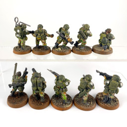 Cadian shock troups
