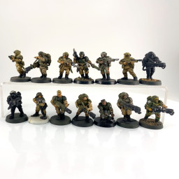 Cadian shock troups