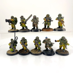 Cadian shock troups