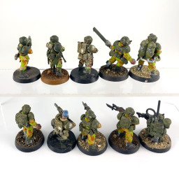 Cadian shock troups