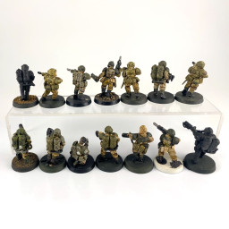 Cadian shock troups