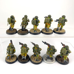 Cadian shock troups