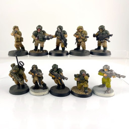 Cadian shock troups