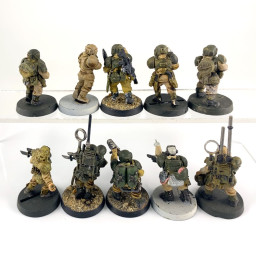 Cadian shock troups