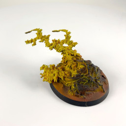 Sorts persistants Sylvaneth