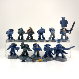 Primaris intercessors