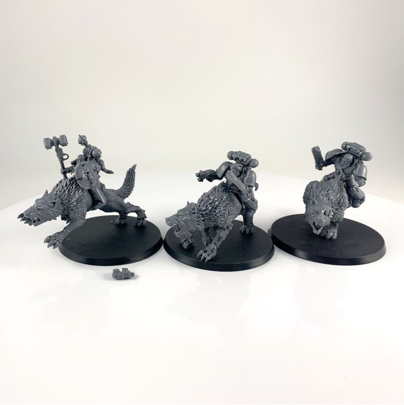 Thunderwolf Cavalry