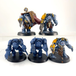 Wolf Guard Terminators