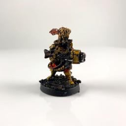 Vostroyan Guardsmen With...